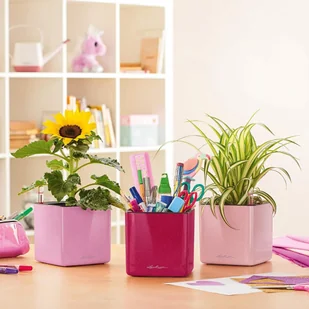 Lechuza Donica stołowa CUBE Glossy 14 ALL-IN-ONE, róż, wysoki połysk - Donice - miniaturka - grafika 5