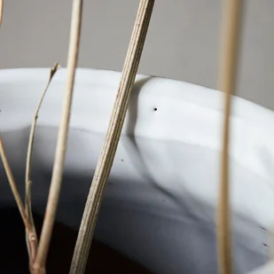 House Doctor Wazon Juno M 13404 - Wazony i flakony - miniaturka - grafika 2