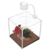 Inne - Marina Betta Kit Aquarium, kształt, szkło, kostki z lampa LED, 3,4 L - miniaturka - grafika 1