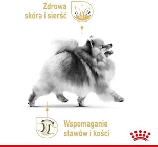 Royal Canin Pomeranian 12x85g karma mokra pasztet dla psów dorosłych rasy Pomeranian 44423-uniw - Mokra karma dla psów - miniaturka - grafika 5