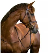 Ogłowia - Kerbl Ogłowie wędzidłowe Classic, skóra, brązowe, rozmiar Full, 324913 - miniaturka - grafika 1