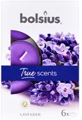 Świece - Bolsius Podgrzewacz zapachowy TRUE SCENTS lawenda 6 szt. - miniaturka - grafika 1