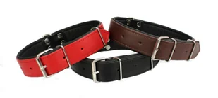 dr Seidla ZOO LESZCZ (PL) Soldina Dla Psa Skóra Naturalna 40 mm / 65 cm ZL0904 ZOO LESZCZ (PL) - Smycze dla psów - miniaturka - grafika 2