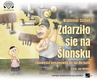 Aleksandria Zdarziło sie na Ślonsku. Łopowieści niysamowite niy ino dlo bajtli. Audiobook Waldemar Cichoń - Audiobooki - literatura faktu - miniaturka - grafika 2