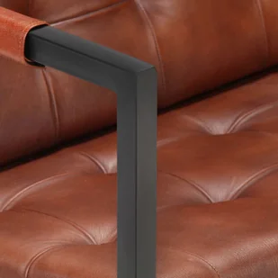 vidaXL Sofa 2-osobowa, brązowa, naturalna skóra kozia - Sofy i kanapy - miniaturka - grafika 2