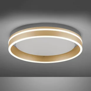 Paul Neuhaus Inteligentna lampa sufitowa mosiężna 40 cm z pilotem - Ronith - Systemy inteligentnych domów - miniaturka - grafika 2