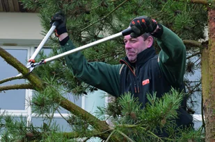 Bahco profesjonalny sekator dwuręczny dźwigniowy do gałęzi 800mm, [P280-SL-80] P280-SL-80 - Nożyce i sekatory - miniaturka - grafika 3