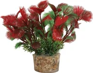 Dekoracje do akwarium - Zolux Roślina mała z zestawu nr 2 - miniaturka - grafika 1