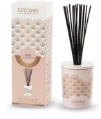 Zapachy do domu - Esteban Esteban Iris Cashmere Diffuser 100 ml - miniaturka - grafika 1