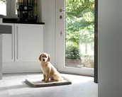 Maty do nauki czystości - Savic Podkłady higieniczne 45x30cm 30szt PSAV023 - miniaturka - grafika 1