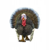 Figurki dla dzieci - Safari Indyk - Turkey - Ltd. - 242929 - miniaturka - grafika 1