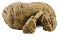 Dekoracje do terrarium - Exo Terra skarbonka, l, brązowy - miniaturka - grafika 1