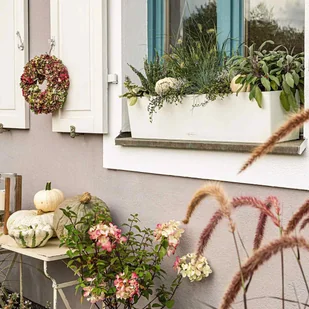 Lechuza Doniczka BALCONERA Color 80 piaskowy brąz - Donice - miniaturka - grafika 6