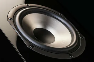 Cabasse JERSEY MC170 czarny heban - Głośniki i kolumny - miniaturka - grafika 3