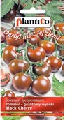 Nasiona i cebule - Plantico Pomidor Black Cher y 0,2g - miniaturka - grafika 1