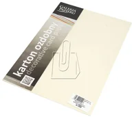 Papier do drukarek - Galeria Papieru Papier ozdobny ARGO 230g. - skóra kremowa - miniaturka - grafika 1