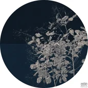 Fototapety - Komar Fototapeta Branch D1-033 D1-033 - miniaturka - grafika 1