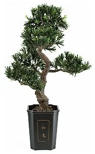 Europalms Europalms Bonsai podocarpus, 80cm, Sztuczne bonsai 82600116 - Sztuczne drzewka Europalms Europalms Bonsai podocarpus, 80cm, Sztuczne bonsai 82600116 - Sztuczne drzewka - miniaturka - grafika 1