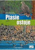 Encyklopedie i leksykony - Ptasie ostoje Używana - miniaturka - grafika 1