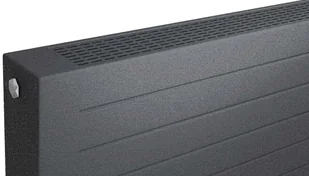 RADOX Grzejnik Dekoracyjny King 21 420x1200mm KAT.R.KG21.W.420.1200 - Grzejniki pokojowe RADOX Grzejnik Dekoracyjny King 21 420x1200mm KAT.R.KG21.W.420.1200 - Grzejniki pokojowe - miniaturka - grafika 1