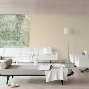 Dulux Tester Easy Care popisowy biszkopt 50 ml - Farby wewnętrzne - miniaturka - grafika 2