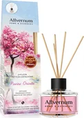 Odświeżacze powietrza - BELL Home &amp Essences Patyczki zapachowe Powiew Orientu 50 ml AV0693 381078 - miniaturka - grafika 1