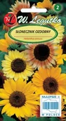 Nasiona i cebule - Legutko Słonecznik ozdobny wysoki pojedynczy - mieszanka 5903837170258 - miniaturka - grafika 1