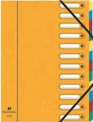 Teczki i skoroszyty - Exacompta Teczka ordn zestawy-częściowe A4 zharmonizowana 6-F Sor 5312E - miniaturka - grafika 1