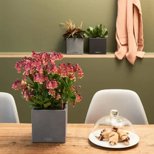 Lechuza Donica stołowa CANTO Stone 14 ALL-IN-ONE, kamienny szary - Donice - miniaturka - grafika 3