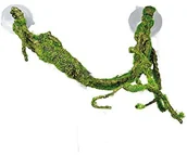 Dekoracje do terrarium - Hobby Liana, s 37008 - miniaturka - grafika 1