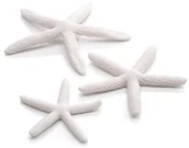 Dekoracje do akwarium - Oase OASE biorb rozgwiazda zestaw 3, biały, biały - miniaturka - grafika 1