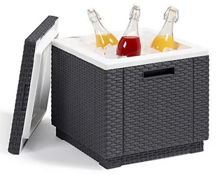 ALLIBERT Lodówka Pojemnik na lód i praktyczna pufa 213828 213828 - Pozostałe meble ogrodowe - miniaturka - grafika 5