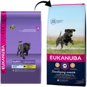 Sucha karma dla psów - Eukanuba Developing Junior Large Breed 12 kg - miniaturka - grafika 1