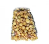 Nawozy ogrodnicze - Substral Nawóz do storczyków koreczki Osmocote 5g 102522_SUBSTRAL - miniaturka - grafika 1