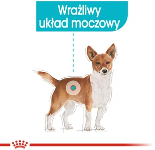 Royal Canin CCN Urinary Care 12x85g karma mokra pasztet dla psów dorosłych 25432-uniw - Mokra karma dla psów - miniaturka - grafika 4