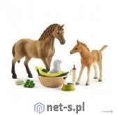Schleich Horse Club Zestaw pielęgnacyjny Quarter horse + źrebię SLH42432 - Figurki dla dzieci - miniaturka - grafika 2