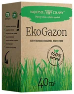 Trawy i trawniki - Najlepsze Trawy z Iławy Nasiona trawy dekoracyjnej EkoGazon 1kg - miniaturka - grafika 1