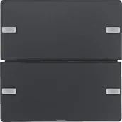 Systemy inteligentnych domów - Berker Hager Hager KNX easy Q.1/Q.3 antracyt Przycisk 2-krotny z polem opisowym diodami LED RGB i czujnikiem temperatury B_80142326 - miniaturka - grafika 1