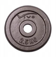 Obciążenia - Obciążenie Ciężar Żeliwny Talerz Vivo 29mm 2,5kg - miniaturka - grafika 1