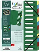 Teczki i skoroszyty - Exacompta Exacompta 55123E teczka na dokumenty (Harmonia, DIN A4, 21 x 29,7 cm, 12 przegródek, z kartonu Manila, gumowy ściągacz, okienko indeksujące) 1 sztuka zielona 55123E - miniaturka - grafika 1