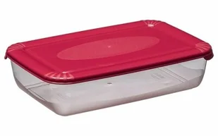 Plast Team poland Pojemnik Na Żywność Prostokąt Polar 0,9L PlastTeam PT16710803 - Pojemniki kuchenne - miniaturka - grafika 2