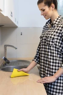 Vileda Pucerka gąbkowa 3 sztuki 142271 - Inne artykuły do sprzątania - miniaturka - grafika 12