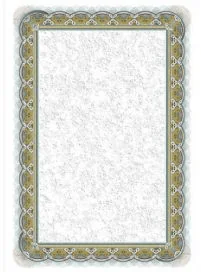 Argo DYPLOM SREBRO 170G /25/ - Dyplomy i okładki - miniaturka - grafika 3