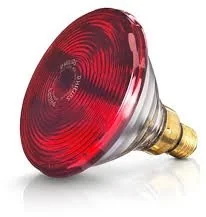 Beurer Żarówka 150W IL 21 / 35 Żarówka 150W do lamp IL 21 / 35 61651 - Urządzenia medyczne Beurer Żarówka 150W IL 21 / 35 Żarówka 150W do lamp IL 21 / 35 61651 - Urządzenia medyczne - miniaturka - grafika 1