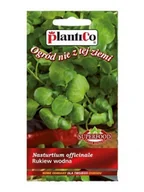 Nasiona i cebule - Plantico Rukiew Wodna 0,1g - miniaturka - grafika 1