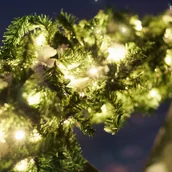 Oświetlenie świąteczne - Markslojd Girlanda Chrissline Extra Original 100 LED 2 850 K - miniaturka - grafika 1