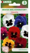 Nasiona i cebule - Legutko Bratek wielkokwiatowy MIESZANKA - miniaturka - grafika 1