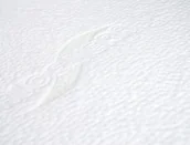 Pokrowce na materace - Pokrowiec Aloe Vera Materace Dla Ciebie 80 x 200 - miniaturka - grafika 1