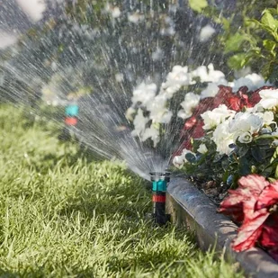 Zestaw startowy do nawadniania podziemnego 902000000 - Inne akcesoria do nawadniania - miniaturka - grafika 2