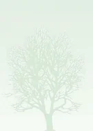 Papier do drukarek - . GALERIA:BARWNE ARKUSZE A4 drzewo - miniaturka - grafika 1